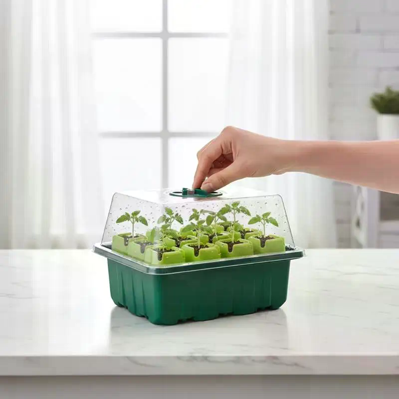 Dome Propagation Kit - طقم واحد من صينية بادئات البذور