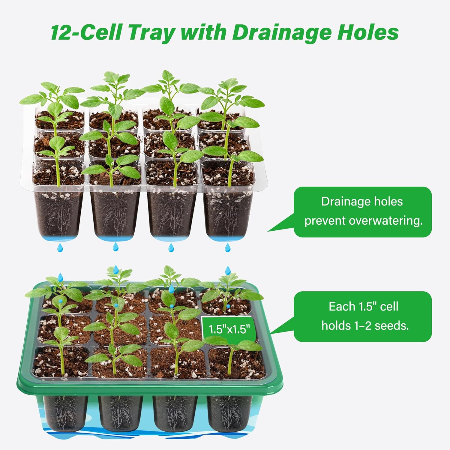 مجموعة أدوات تشغيل البذور مع ق - مراجعة Dome Propagation Kit وسعره
