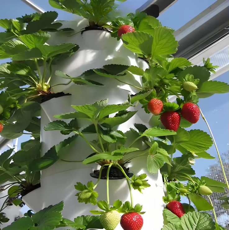 نظام جداري معياري للزراعة الما - مراجعة Urban Farming Gardening وسعره