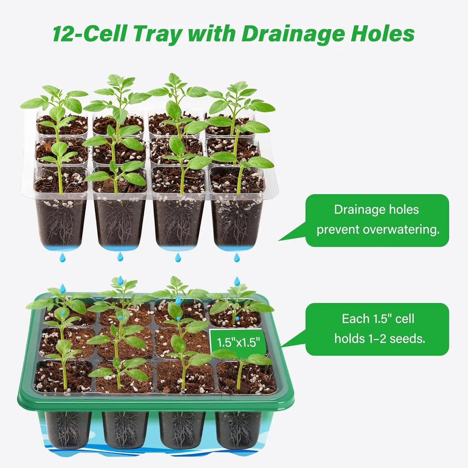 صواني زراعة بـ 6/12 خلية، طقم  - مراجعة Dome Propagation Kit وسعره